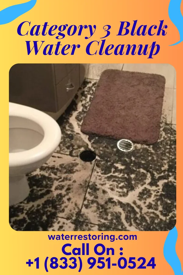 Category 3 Black Water Cleanup in Burgoon, OH