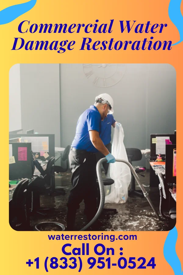 Commercial Water Damage Restoration in Burgoon, OH
