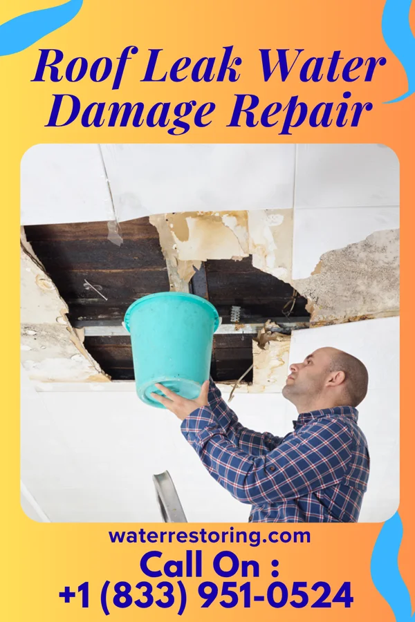 Roof Leak Water Damage Repair in Burgoon, OH