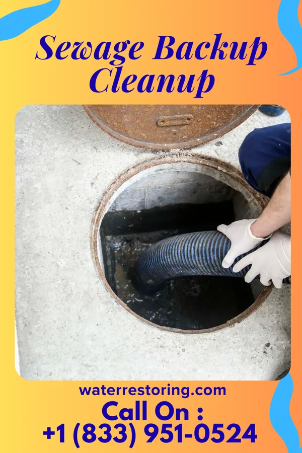 Sewage Backup Cleanup in Burgoon, OH