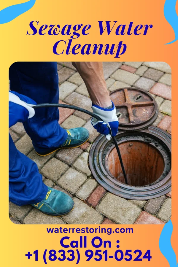 Sewage Water Cleanup in Burgoon, OH