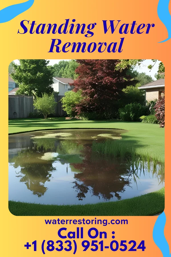 Standing Water Removal in Burgoon, OH